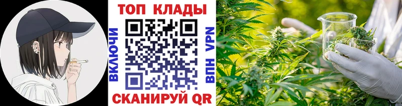 Где можно купить наркотики Новодвинск Альфа ПВП МЕГА как зайти Мефедрон Амфетамин