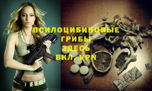 гашиш Арсеньев