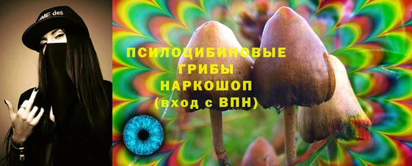 стафф Алексин