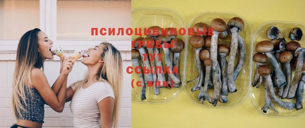 ECSTASY Армянск