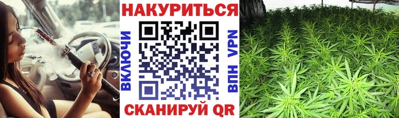 цена наркотик  Новодвинск  МАРИХУАНА гибрид 
